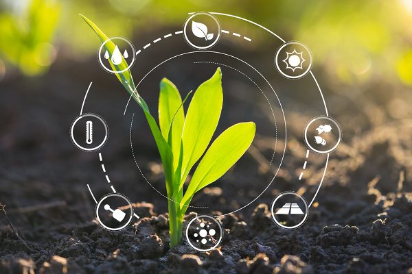 2,5 M$ pour la création du Réseau québécois de recherche en agriculture durable