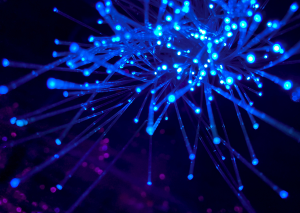 fibers fibers