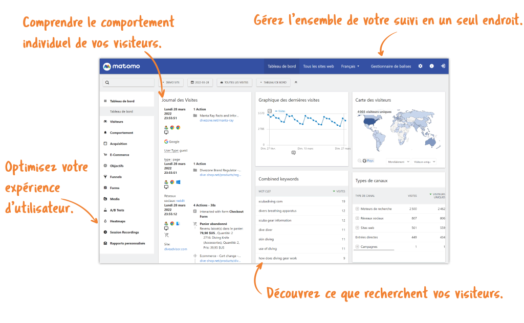 Matomo Dashboard